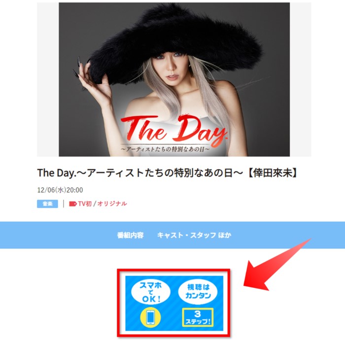 The Day.～アーティストたちの特別なあの日～【倖田來未】は配信でも見られる